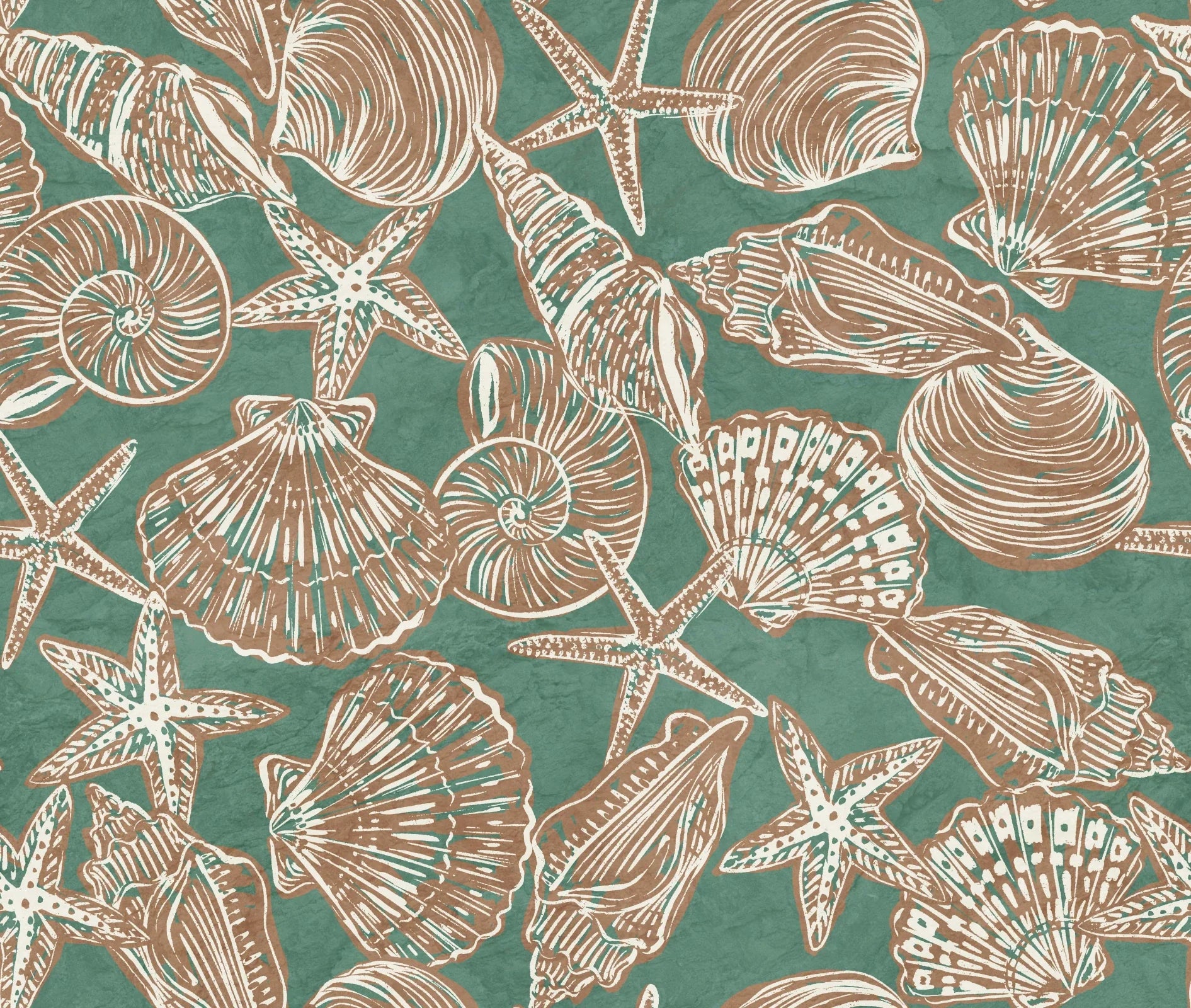 Stellar Shells – duaL