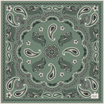Dual Atelier Costa Paisley Yeşil Bandana Desenli İpeksi Organik Pamuk Kumaş Bandana Fular