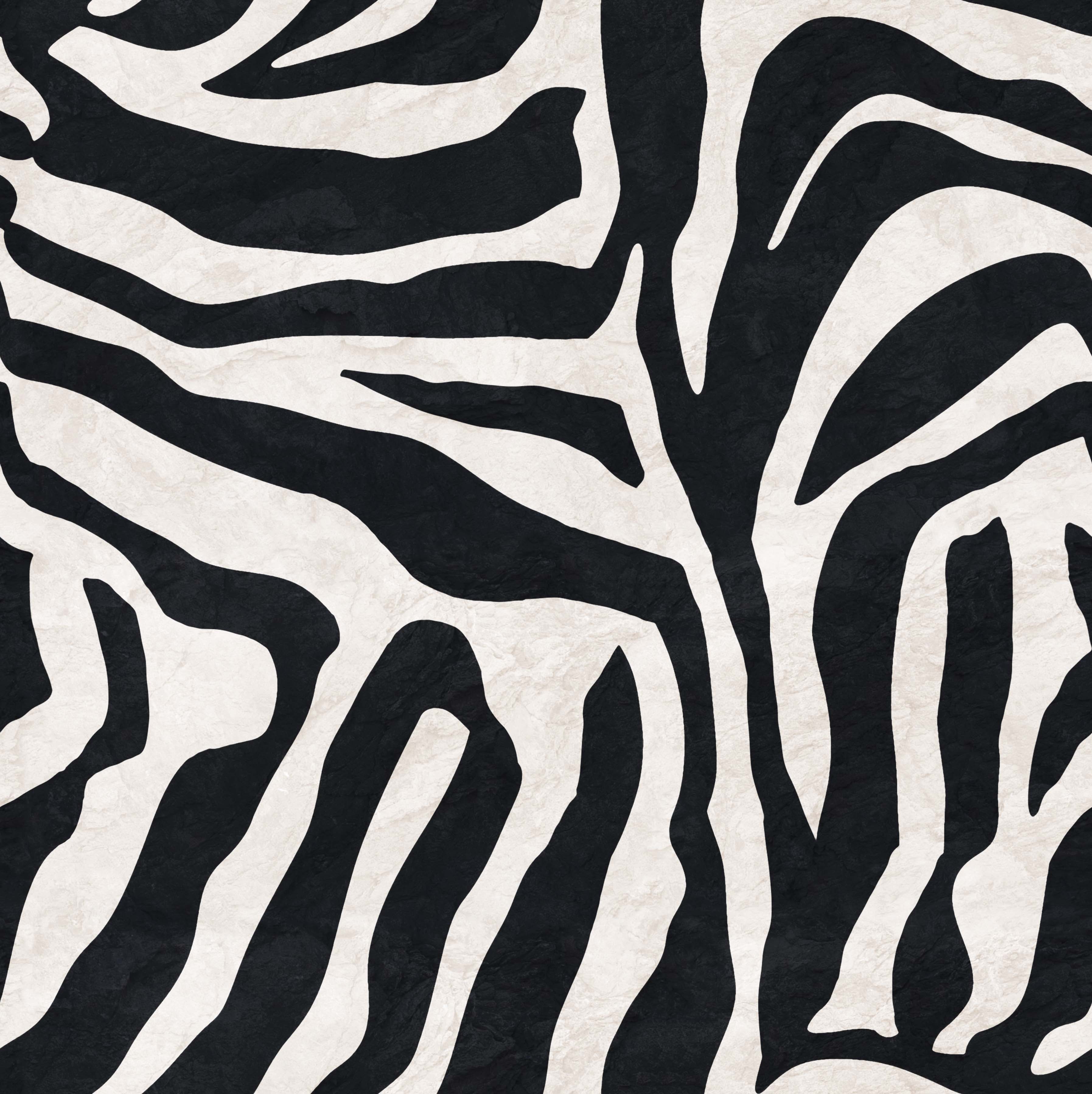 Dual Atelier Wild Stripe Siyah Beyaz Zebra Desenli İpeksi Organik Pamuk Kumaş Kare Pareo Şal